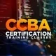 Top CCBA Certification Training Courses and Guides 2024