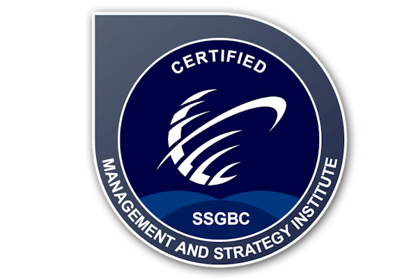 MSI Certified Lean Six Sigma Black Belt Certification