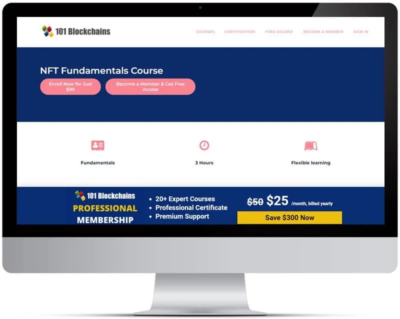 101 Blockchains - NFT Course